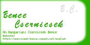 bence csernicsek business card